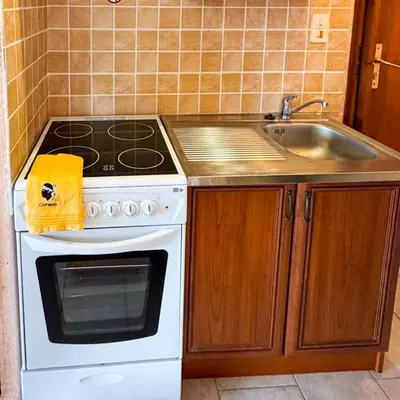 a kitchen with a stove and a sink at Domaine Mare e Monti - T1 Les Palmiers vue mer in Albitreccia