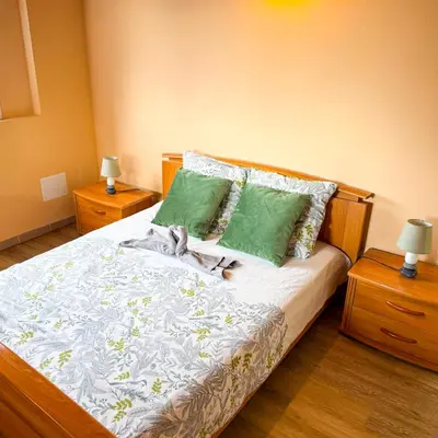 a bed with two green pillows and a cat laying on it at Domaine Mare e Monti - T2 Les Oliviers vue mer in Albitreccia