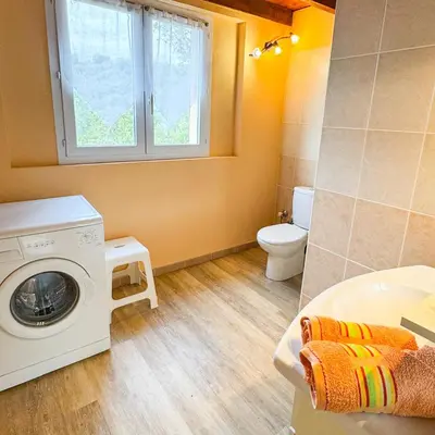 a bathroom with a washing machine and a toilet at Domaine Mare e Monti - T2 Les Oliviers vue mer in Albitreccia