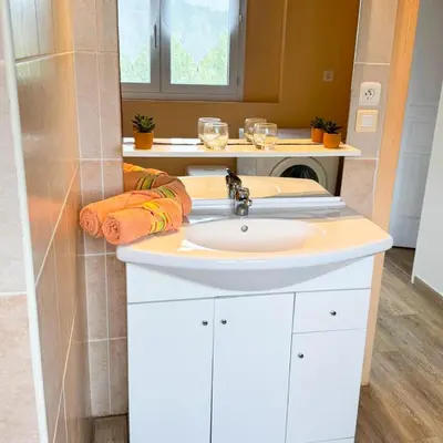 a bathroom with a white sink and a counter at Domaine Mare e Monti - T2 Les Oliviers vue mer in Albitreccia