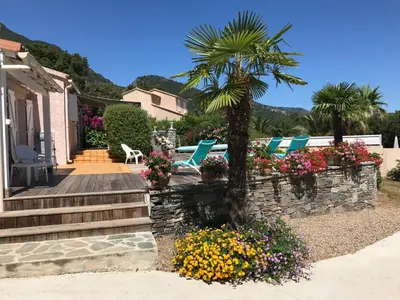 a house with chairs and a palm tree and flowers at CHAMBRE HOTES CARPE DIEM in Santa-Maria-Poggio