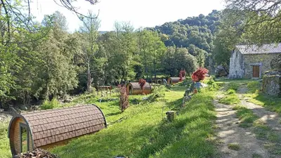 a garden with a field of grass and a building at A Chjusella di E Sertine in Tralonca