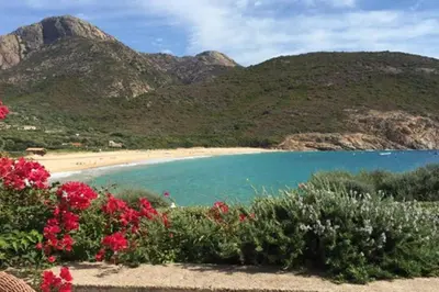 a view of a beach with flowers and mountains at FUNTANA NOVA in Piana