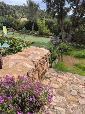 a garden with a large rock and purple flowers at Bel appartement dans hameau calme in Bonifacio