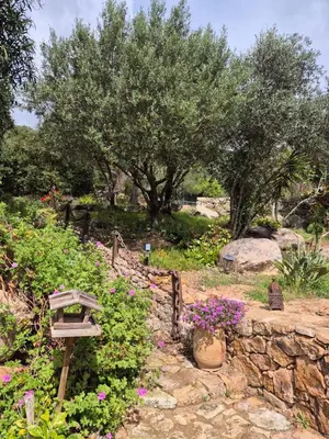 a garden with flowers and a stone wall and trees at Bel appartement dans hameau calme in Bonifacio