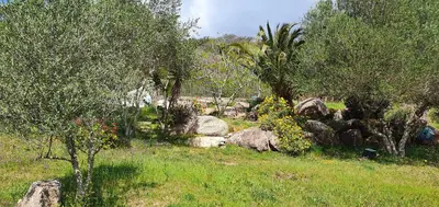 a garden with trees and rocks in a field at Bel appartement dans hameau calme in Bonifacio