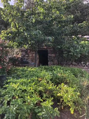a stone building with a door in a field of plants at Villa Capraghjese in Galeria