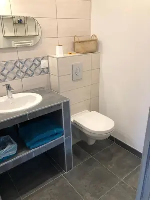 a bathroom with a white toilet and a sink at Villa Capraghjese in Galeria