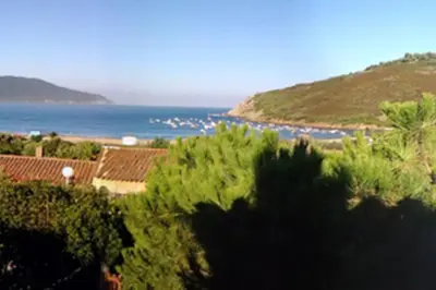 a view of the ocean from a hill with trees at Demi villa à 150m de la plage avec vue sur mer in Appietto