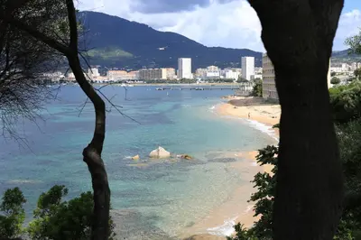 a view of a beach with a city in the background at Mare e Vista in Ajaccio