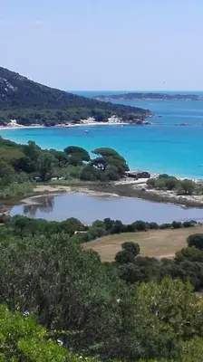 an island with trees in the middle of a body of water at Maison sur Palombaggia in Porto-Vecchio