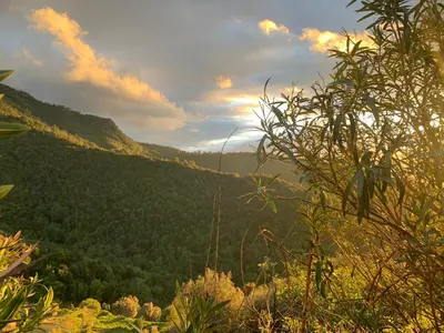 a view of a valley with trees in the distance at Casa LiLi in Castello-di-Rostino