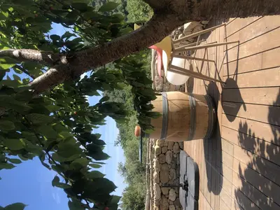 a tree branch next to a building with a barrel at 1722 Chambres de Charme in Ville-di-Paraso