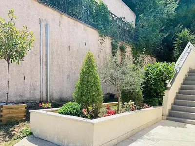 a garden with a tree in a planter next to a building at Propriété Malva appartement bergamotta in Alata