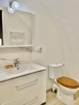 a bathroom with a toilet and a sink and a mirror at Appartement F2 Duplex in Sartène