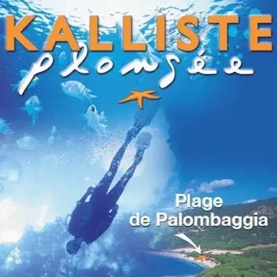 a book cover of a person swimming in the ocean at Palombaggia location i pini Porto Vecchio in Porto-Vecchio