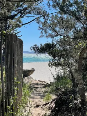 a path to the beach through some trees at Palombaggia location i pini Porto Vecchio in Porto-Vecchio