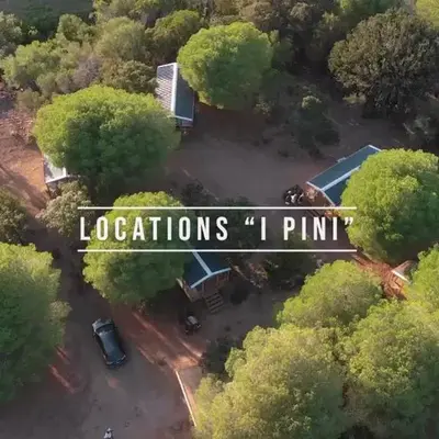 Palombaggia location i pini Porto Vecchio