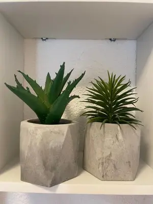 two plants in concrete pots sitting on a shelf at Mini villa K2 in Bonifacio