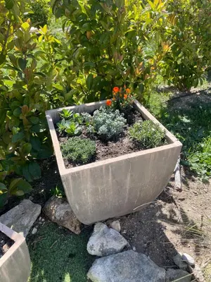 a large concrete planter with flowers and plants in it at Mini villa K2 in Bonifacio