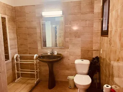 a bathroom with a sink and a toilet at Chambres et tables d'hôtes Zélia & Jacques BERQUEZ in Pianottoli-Caldarello