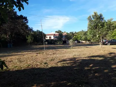 a yard with trees and a house in the background at Chambres et tables d'hôtes Zélia & Jacques BERQUEZ in Pianottoli-Caldarello
