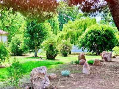 a garden with rocks in the grass and trees at Campo Vecchio Sole et Piscine in Ghisonaccia