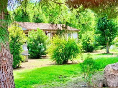 a house in the middle of a yard with trees at Campo Vecchio Sole et Piscine in Ghisonaccia