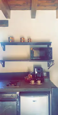 a kitchen with a counter with a microwave and a stove at La bergerie du Chêne in Omessa