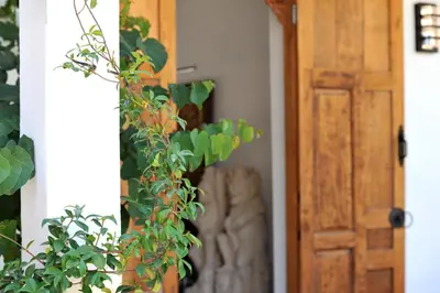 a door with a green plant next to it at Clemente en aparté sud in Lecci