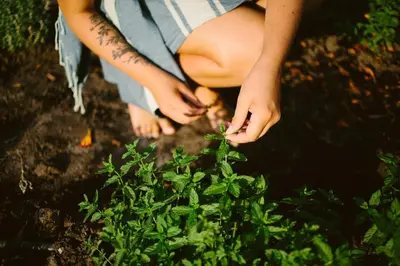 a person is looking at a green plant at Camping Naturiste Riva Bella 4* in Linguizzetta