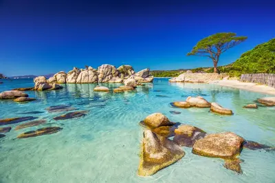 a pool of water with rocks and a tree at Résidence Standing Domaine d Arca in Porto-Vecchio