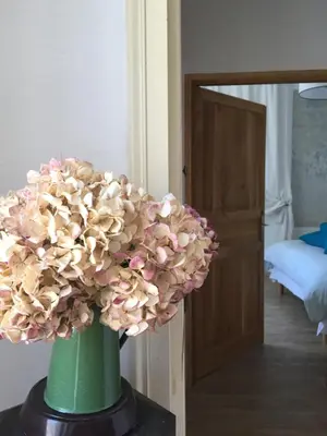 a green vase with a flower in a room at Casa Mariana in Ghisoni
