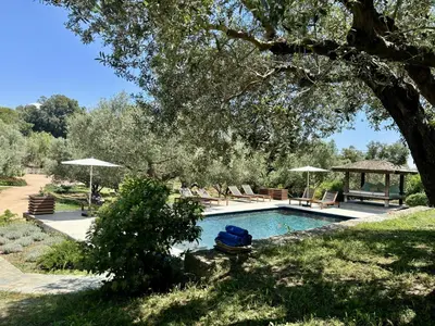 a pool with chairs and umbrellas in a yard at Nature & Design in Bonifacio