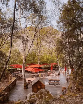 a patio with tables and benches in a forest at Auberge De La Foret Bonifatu in Calenzana
