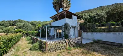 a small white house with a palm tree on top at Mini villa T2 climatisée, vue mer, cosy & moderne in Olmeto
