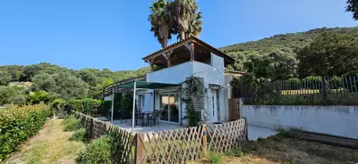 a small white house with a palm tree on top at Mini villa T2 climatisée, vue mer, cosy & moderne in Olmeto