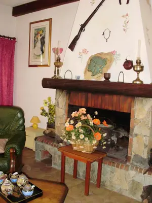 a living room with a fireplace with flowers on a table at Maison de charme proche mer en Corse du Sud in Sollacaro