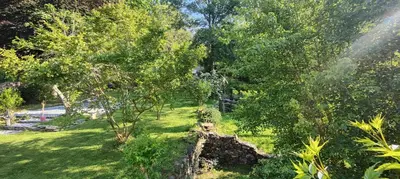 an overhead view of a garden with trees and grass at U Vechju Mulinu in Ortiporio