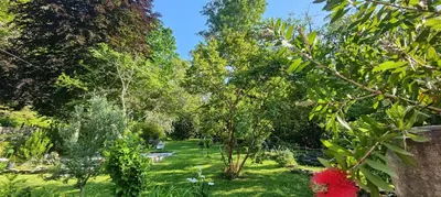 a garden with trees and green grass at U Vechju Mulinu in Ortiporio