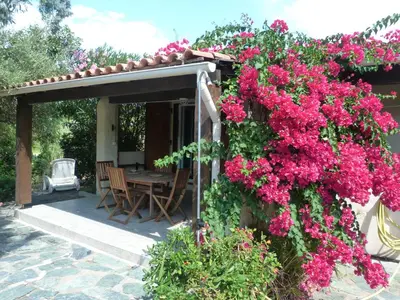 a house with pink flowers on the side of it at A Pineta in Porticcio