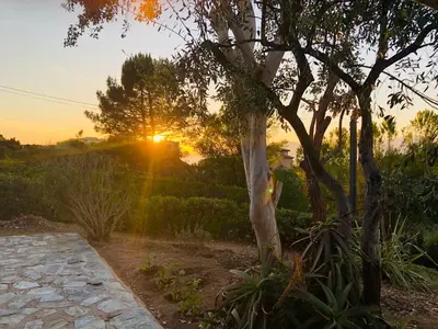 a sunset over a garden with a tree at A Pineta in Porticcio