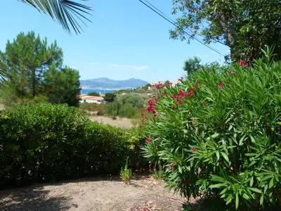 a group of bushes with pink flowers on them at A Pineta in Porticcio