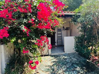 a garden with red flowers on a building at A Pineta in Porticcio