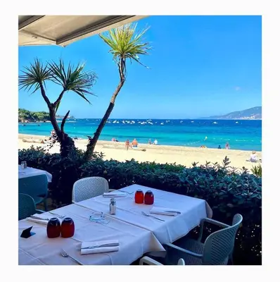 a table on a beach with palm trees and the ocean at studio cosy centre ville in Ajaccio