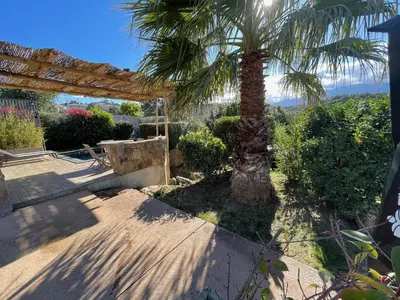 a palm tree in a yard with a patio at Villa Machja Solenzara in Sari Solenzara