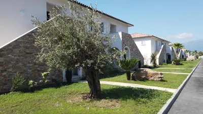a tree in the yard of a house at A SUARA LINDA in Ghisonaccia