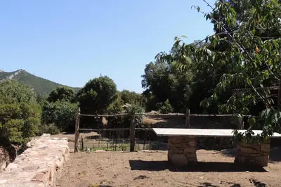 a stone bench sitting in the middle of a field at L'Ortu Di Pisettu -1 in Conca