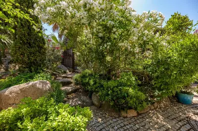 a tree with white flowers in a garden at Les Villas de Palombaggia in Porto-Vecchio