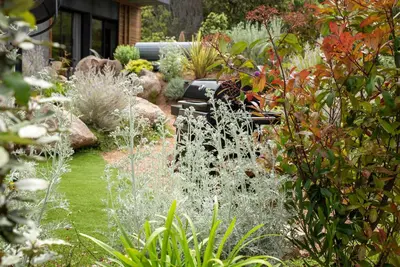 a garden with many different types of plants at Les Villas de Palombaggia in Porto-Vecchio